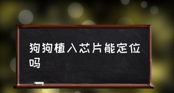 宠物芯片（狗狗芯片是否有必要？解读宠物芯片的优势和作用）