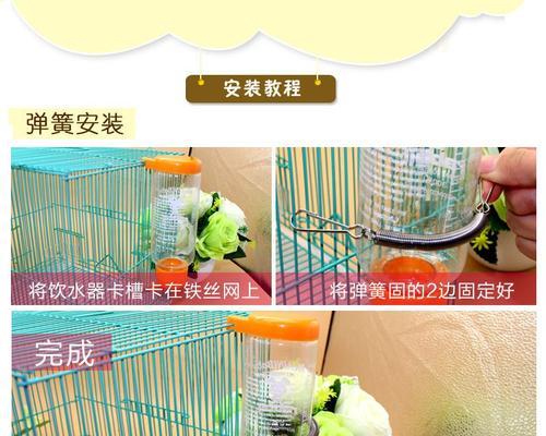 如何正确引导宠物喝水？（关注宠物健康，从正确喝水开始）