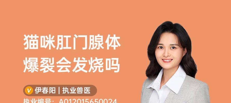 猫咪发烧了怎么办？（了解猫咪发烧的症状及应对方法）