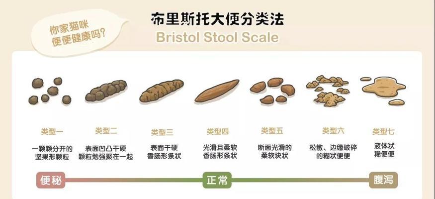 如何处理猫咪便秘问题（了解猫咪便秘原因及有效的解决方法）