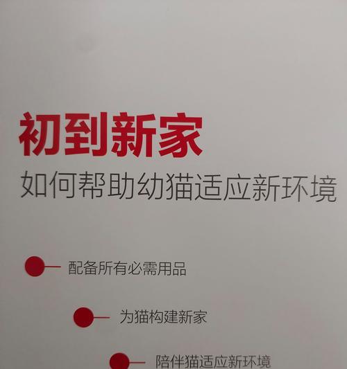 科学投喂猫咪，关注猫咪健康（手把手教你喂猫，让你成为专业猫咪饲养员）