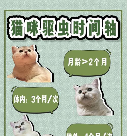 比熊驱虫指南——为你的宠物提供全方位保护（宠物驱虫的重要性及体内外驱虫的时间和方法）
