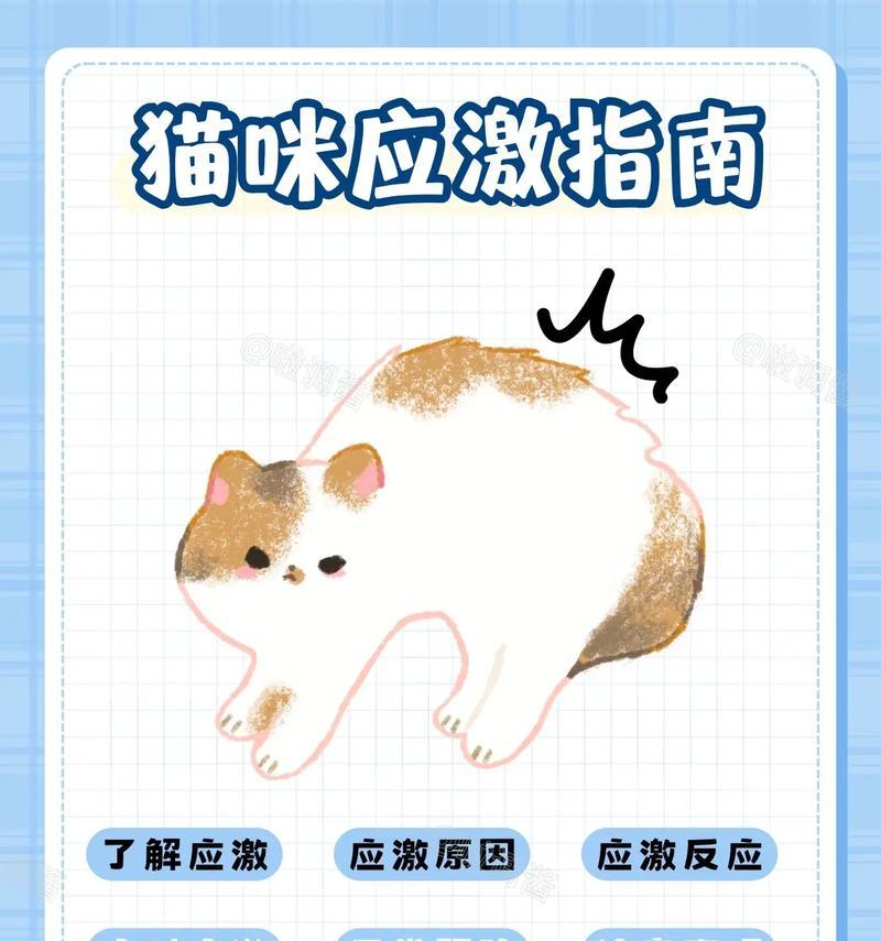 养猫的必知事项（15个养猫要知道的事）