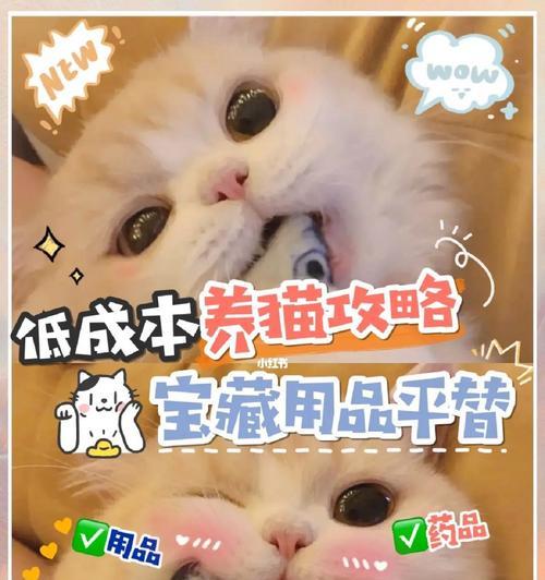 养猫平替好物大揭秘（为你的喵星人带来更好的生活体验）