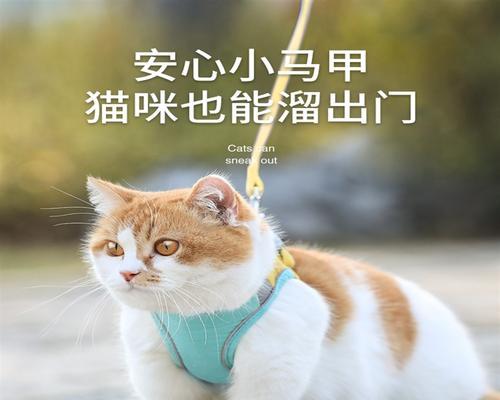 猫套上背带的小技巧——让你的猫更自由舒适行走（掌握这些关键技巧，让你的猫成为户外小公主/小王子）