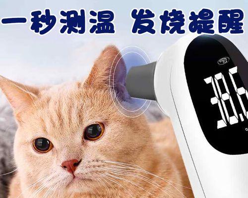 猫咪的体温（了解猫咪体温的重要性及如何正确测量体温）