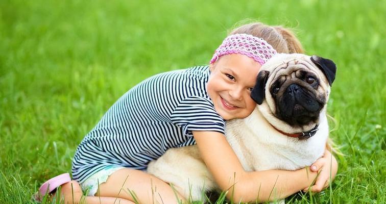 探秘以巴哥犬（了解这个独特品种的迷人之处，你会想要养一只！）