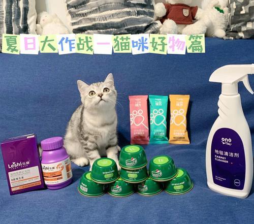 揭秘猫咪饮食五大误区（不可忽视的营养与健康关键）