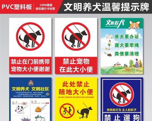 养狗不遛狗的6大后果（后果严重，宠物与社会都将遭受损失）