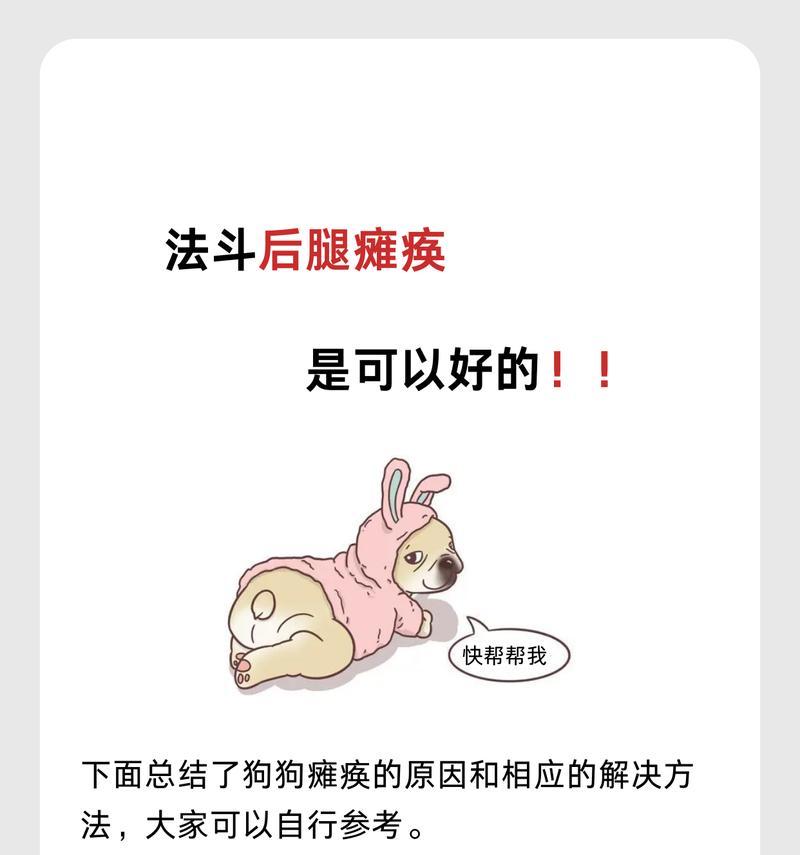 法斗标准体重和健康管理（探讨法斗体重偏瘦的原因和解决方法）
