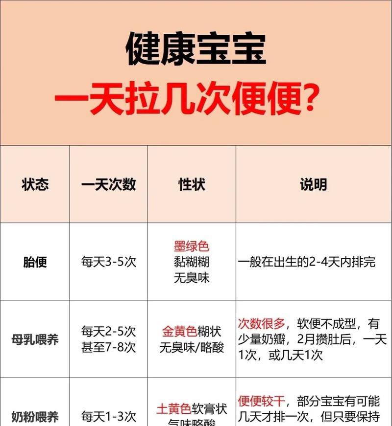 如何应对猫咪便便异常（掌握关键细节，保持猫咪健康）