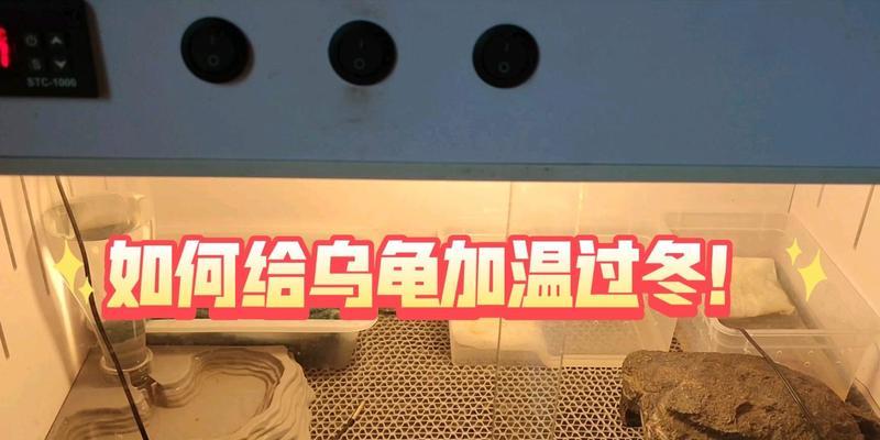 巴西龟冬季护理（巴西龟冬季生活环境调整及护理探讨）