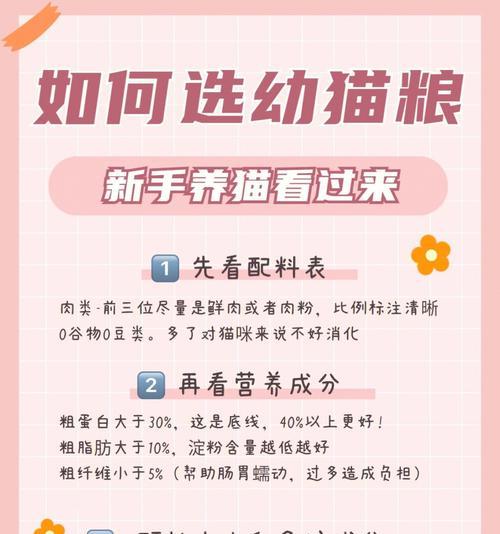 幼猫的正确喂食（了解幼猫的3个喂食阶段，确保它们得到正确的营养）