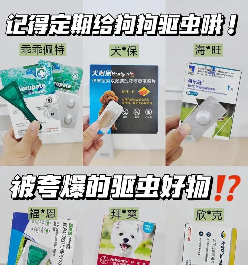 狗狗必备药品（养狗人士必备的15种常用药品及使用方法）