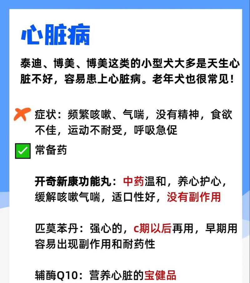 保护比熊健康的六大饲养禁忌（了解这些禁忌，让你的比熊宠物更健康）