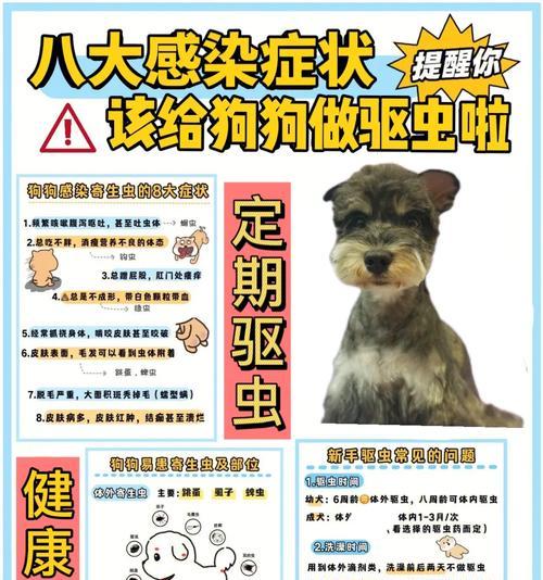 狗狗不健康时的表现及应对方法（了解狗狗的健康状况，关爱它们的生活质量）