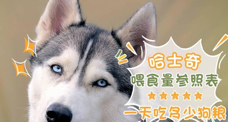 狗狗的体重与合适的喂食量（探讨狗狗的体重与喂食量之间的关系，为您提供合理的饲养建议。）