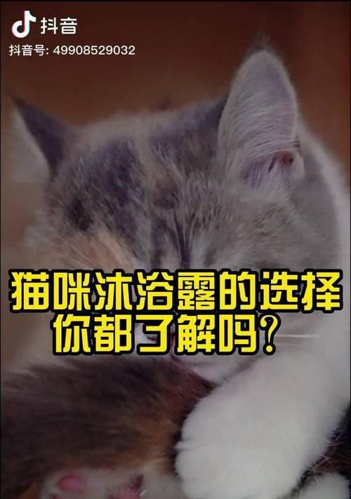 猫咪洗澡的频率和方法（猫咪洗澡的最佳频率和正确方法，让你的宠物保持清洁与健康）