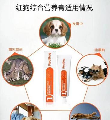 营养膏的重要性（解读营养膏的作用和优势，帮助狗狗摆脱营养不良的困扰）