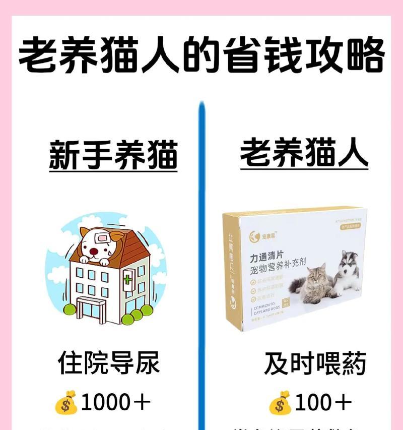 如何正确喂养两个月大的小猫（新手养猫基础知识学习，养宠入门必备）