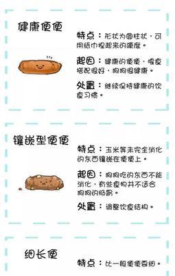 健康狗狗的排便频率（了解你的狗狗）