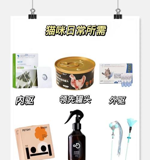 养猫一个月的开销及最基本需求（了解养猫的开销和基本需求，让你成为负责任的猫咪主人）