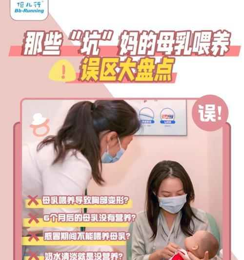 金毛新手必看（金毛饲养全攻略，从营养到训练无一遗漏）