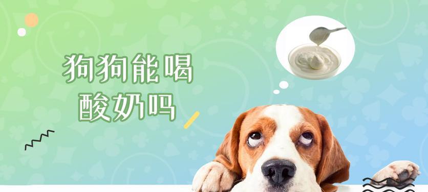 狗狗能喝酸奶吗？（了解狗狗喝酸奶的好处及注意事项）