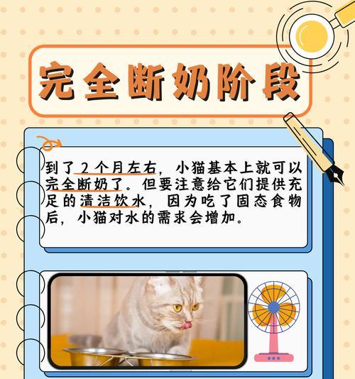 如何正确饲养一个月内的小奶猫（幼猫饲养注意事项，让小猫健康快乐成长）