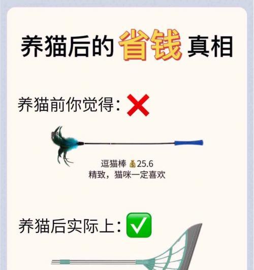 养猫达人省钱攻略——打造最健康的猫咪生活（用心省钱，为爱猫打造理想生活）
