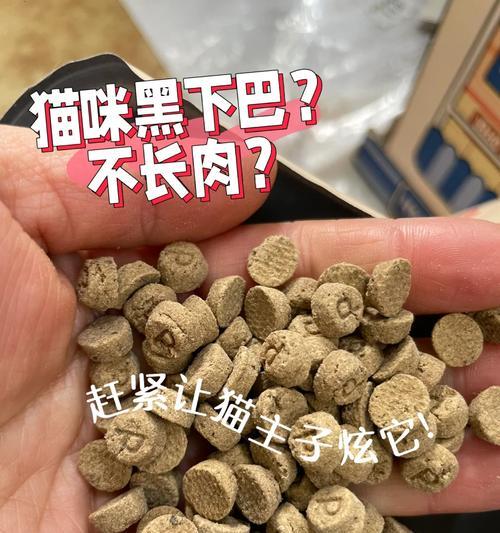 猫咪的日常猫粮摄入量如何确定？（以保证猫咪每天所需克数为准）