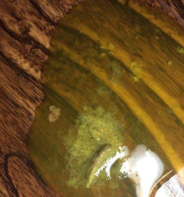 狗狗的正常体温与心率及其重要性（探究狗狗的正常体温和心率，了解异常带来的问题）