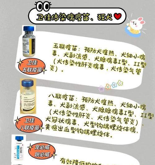 狗狗的疫苗接种费用及时间安排（探究狗狗疫苗接种的成本与频率）