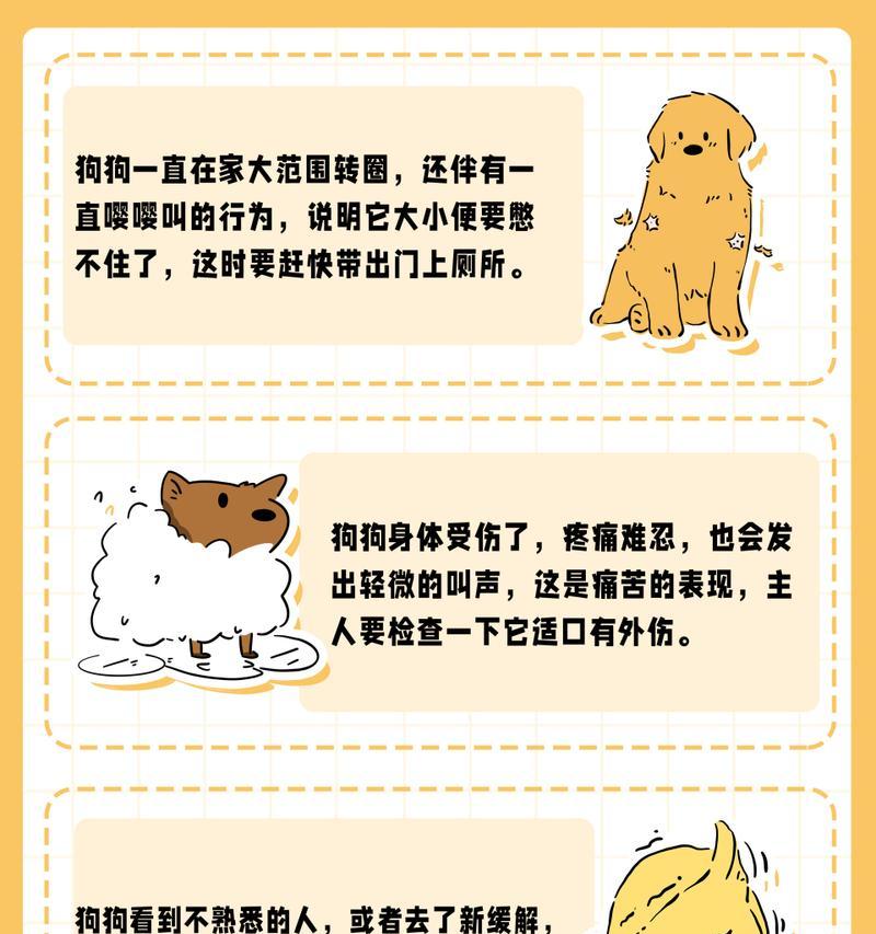 为什么狗狗洗澡越来越贵？（分析狗狗洗澡价格上涨的原因与趋势）