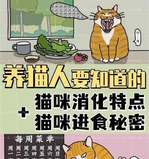 合理喂养猫咪的频率，（了解猫咪饮食需求，确保健康成长）