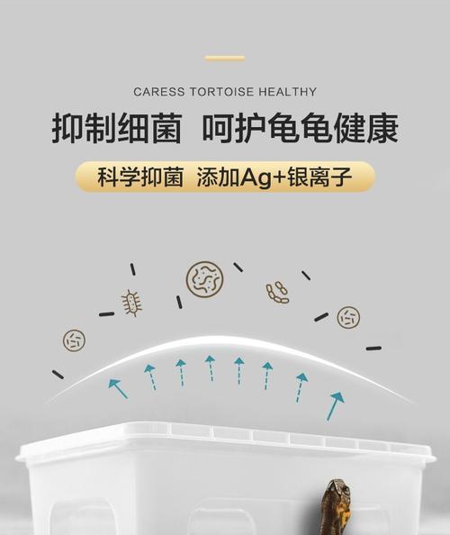 如何正确调控养龟的水位和水温（养龟水位和水温要求，助你打造舒适的龟宠环境）