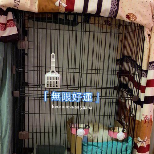 幼猫保暖与小窝的小知识（打造温暖舒适的小家园，让幼猫快乐成长）