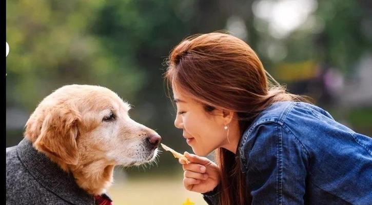 狗狗寿命之不同品种下的生命长短（以品种为，探讨狗狗寿命的变化）