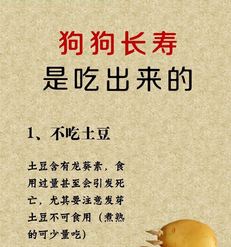 新手养狗手册（为您的小狗提供健康的饮食）