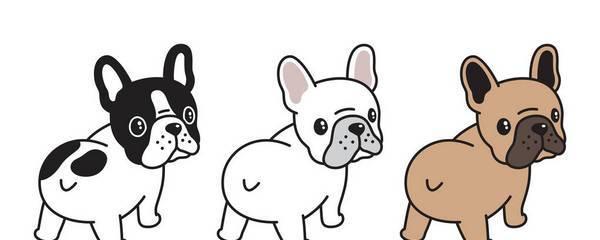 快速掌握法斗幼犬的基本喂养技巧（从幼犬期到成犬阶段，培养健康活泼的法斗宝贝）