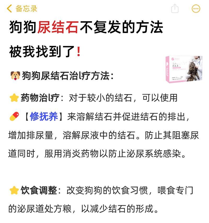 狗狗患肾结石的症状及原因分析（了解肾结石对狗狗健康的影响，预防与治疗关键在于早发现早治疗）