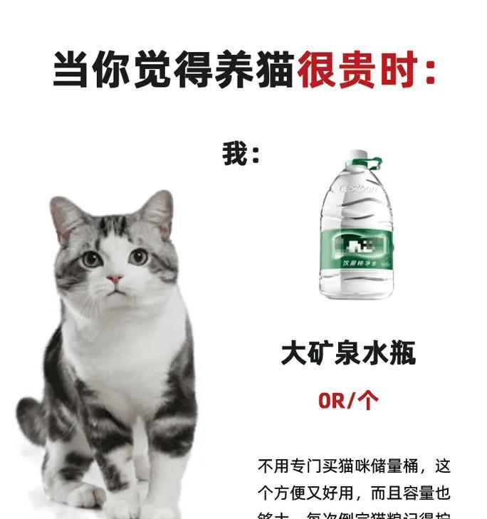 养猫经验分享（掌握省钱小妙招，为你的爱猫提供优质医疗服务）