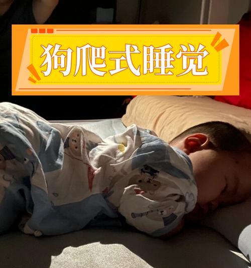 狗狗的睡眠需求与重要性（揭秘狗狗每天的睡眠时间和原因）