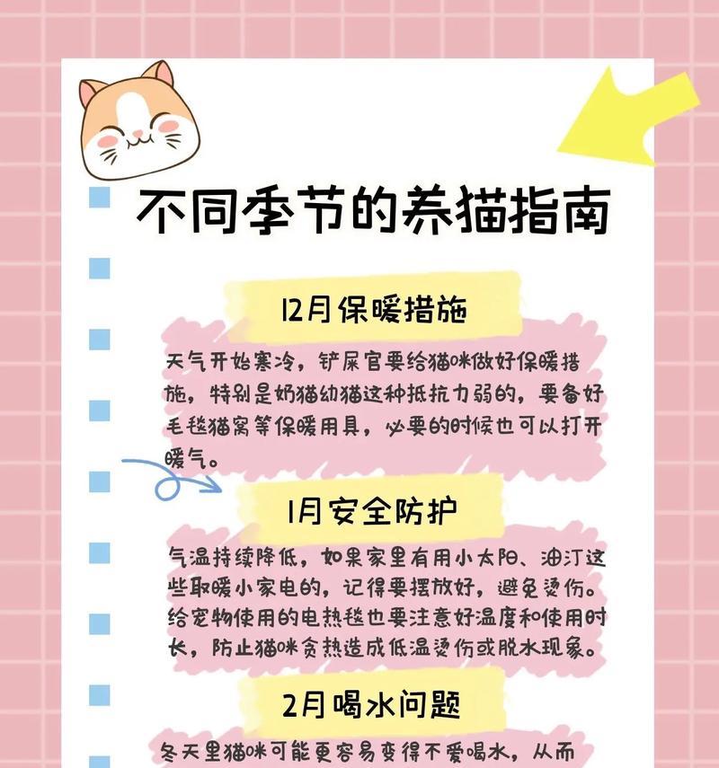 新生幼猫养护指南（关爱小猫咪，打造温馨之家）