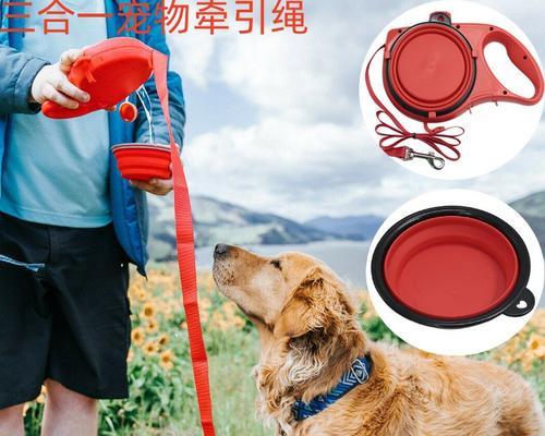狗的伸缩牵引绳易弄伤主人（为何狗的伸缩牵引绳不是理想的选择）