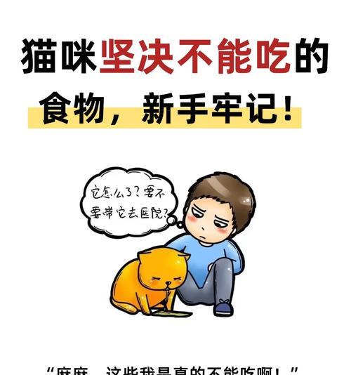 猫咪的日常饮食需求及合理摄入量（探究猫咪每天的食物摄入量是否合理以及应该如何科学喂养）