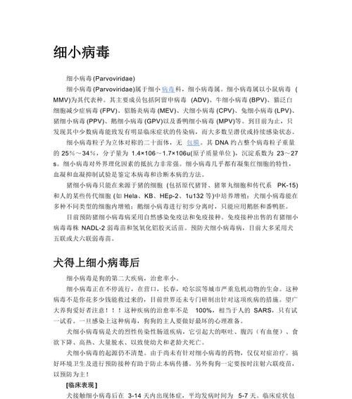 探寻最新宠物犬价格标准（了解您家狗狗的市场价值，犬价随时变动！）