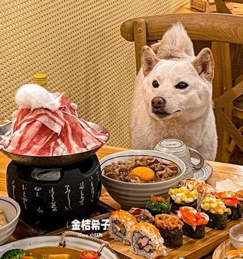 如何合理控制小狗狗的饮食量？（每餐应该给小狗狗吃多少比较合适？）
