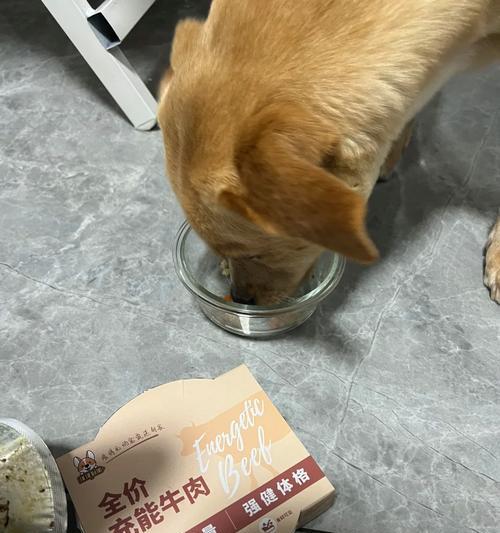 小狗能吃什么？探寻小狗“什么都吃”的原因（小狗的饮食习性和适宜食物及其营养需求）