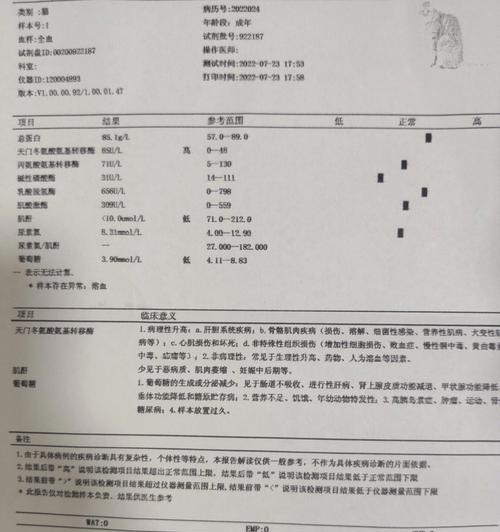 揭开迷局（探寻猫咪的声音之谜及相关检查方法）